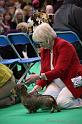 Crufts2011_2 1578